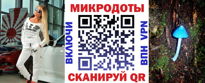 Псилоцибиновые грибы Psilocybine cubensis  Алагир 